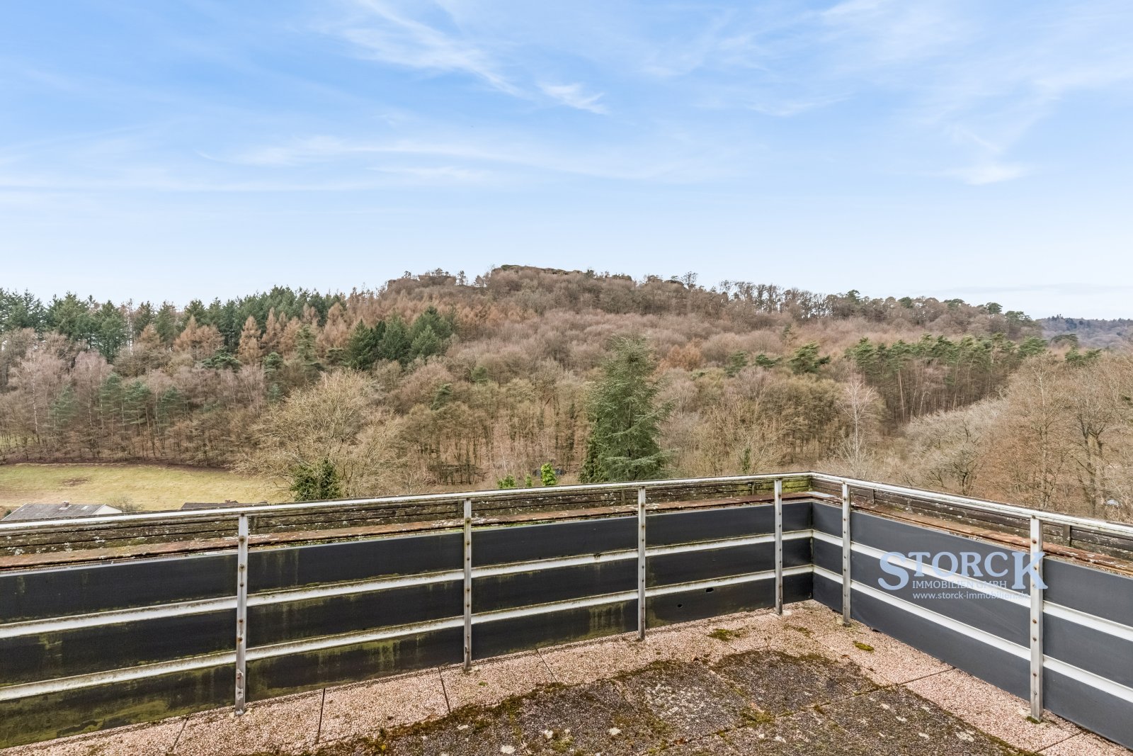 Wohnen mit Burgblick - Einfamilienhaus in ruhiger Waldrandlage mit großem Grundstück Wohnen mit Burgblick - Einfamilienhaus in ruhiger Waldrandlage mit großem Grundstück